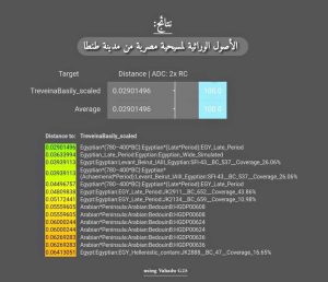 نتائج الفحص الجيني للسيدة المصرية