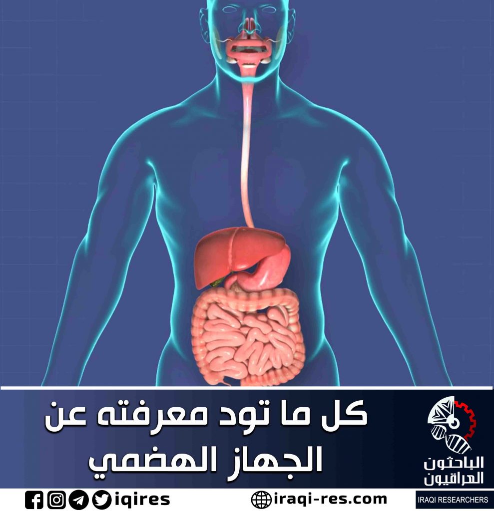 بدء الاجتماع الـ 55 للجمعية الأوروبية لأمراض الجهاز الهضمي في فيينا بمشاركة 18 طبيبا مصريا 1 قالب نص قصير Recovered 21684344784
