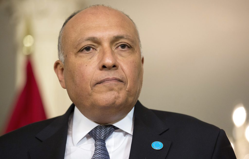 وزير الخارجية: وحدة الدول الإفريقية وتعاونها هما الأساس للتغلب على تحديات القارة 1 وزير الخارجية يكشف حقيقة تصالح دول المقاطعة مع قطر1684147444
