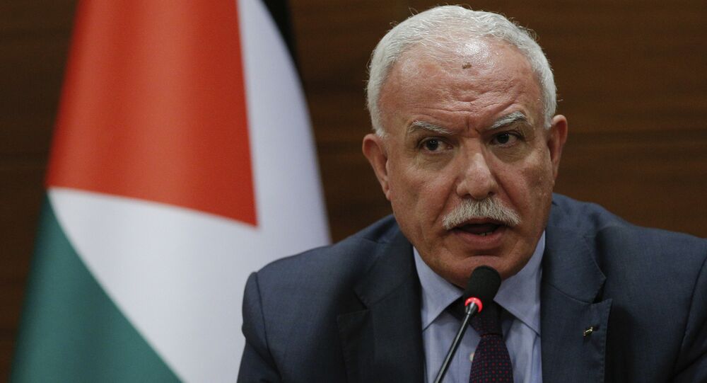 وزير الخارجية الفلسطيني يؤكد على تنفيذ كافة القرارات العربية بشأن القضية الفلسطينية 1