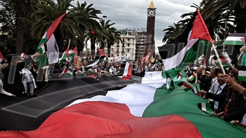 تونس تجدد موقفها الثابت المناصر للقضية الفلسطينية في الذكرى 75 للنكبة 1 1542363988 article1684142586