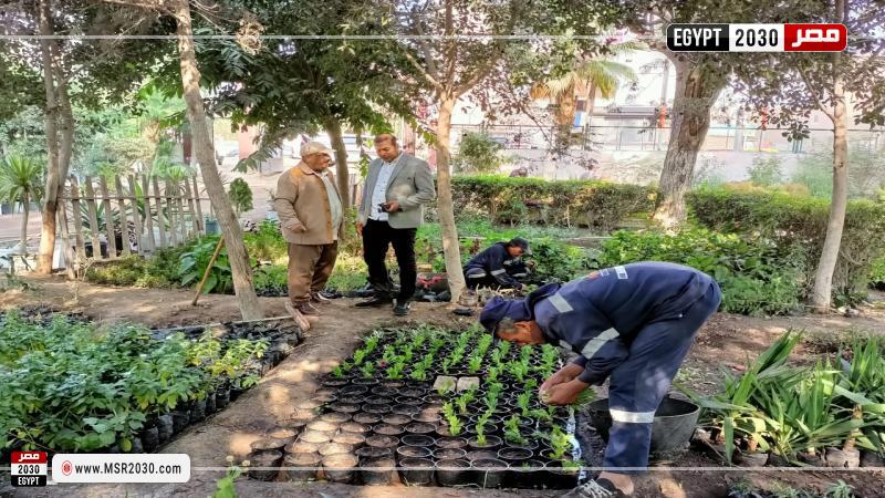 محافظ كفر الشيخ: زراعة 175 ألف شجرة بالميادين والمدارس ومراكز الشباب 1 160291 W1684142823