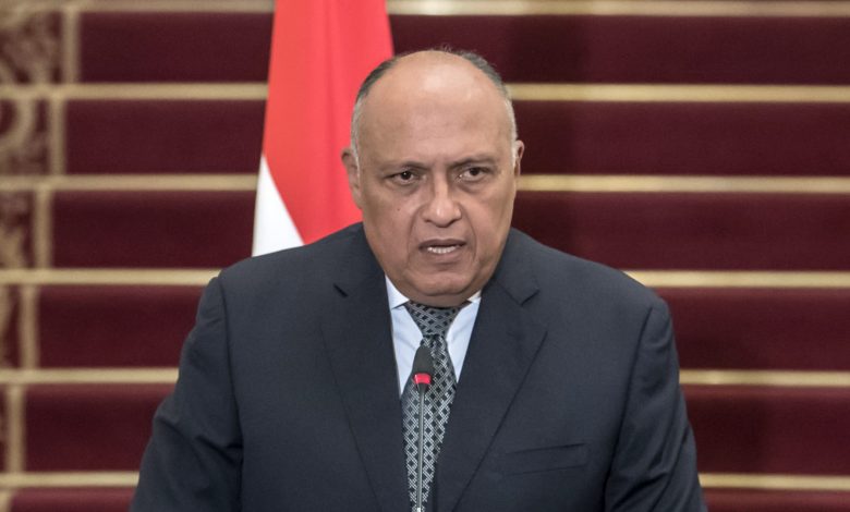 المتحدث باسم الخارجية: بيان الخارجية الإثيوبية حول قرار القمة العربية الأخيرة مُضلل ومحاولة يائسة للوقيعة بين الدول العربية والإفريقية 1 1736411684917486