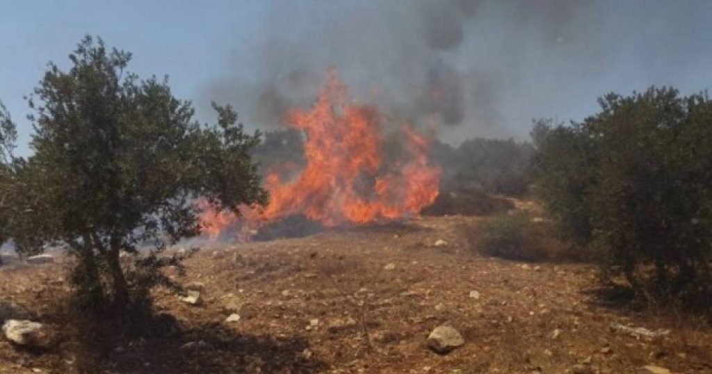 مستوطنون إسرائيليون يحرقون أراضي زراعية في رام الله ويعتدون على مالكيها بحماية الاحتلال 1 17d47e2c9c726b874d3949676fba5f951685387223