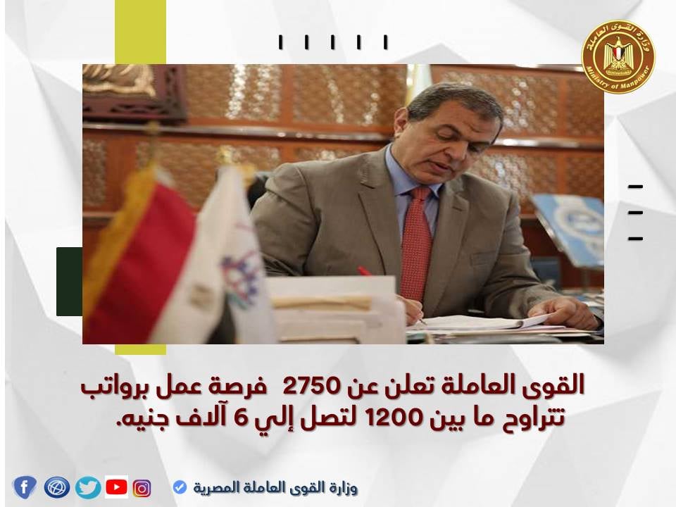 "القوى العاملة" تُعلن عن 3687 فُرصة عمل في 12 محافظة 1 194306126 1168241346933084 5483403843346255927 n1685521323