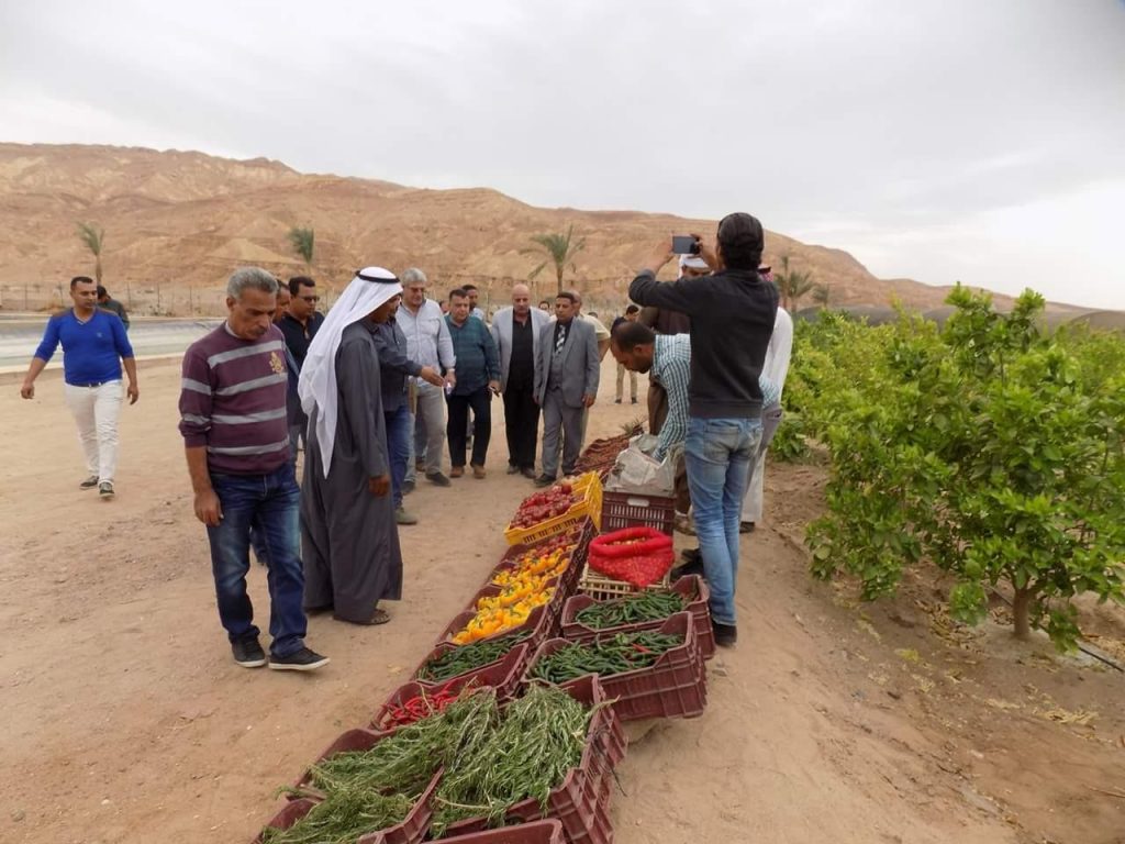 "الزراعة" و"البترول" تنفذان مشروعات تنموية في وادي فيران بجنوب سيناء 1 19 2018 636702801605256696 5251684420625