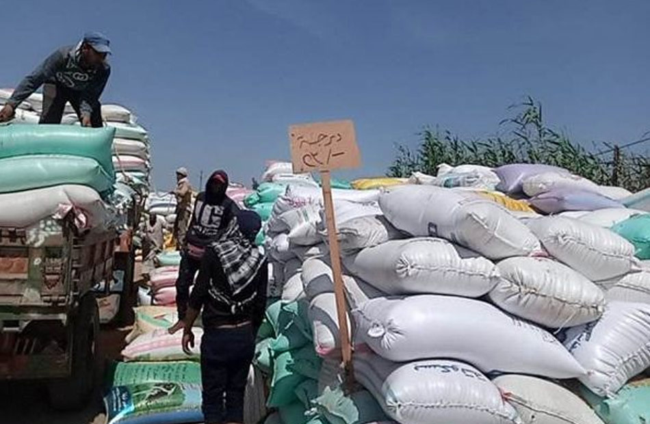 "تموين دمياط": توريد 53 ألفا و596 طنا من الأقماح لمواقع التخزين 1 19 2021 637562569807136647 7131685019484
