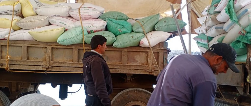 "تموين الدقهلية": توريد 260 ألفا و593 طن قمح لمواقع التخزين 1 19 2022 637890842540009493 01684573683