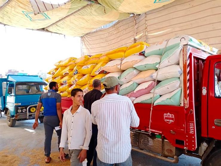"التموين" : ضبط 601 طن قمح محلى مهرب بالدقهلية و30 طن بنى سويف و10 أطنان في كفر الشيخ 1 2020 4 29 9 40 28 8731684663682