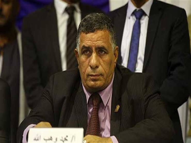 رئيس اتحاد عمال مصر يطالب بتنفيذ بنود الاتفاقية المتعلقة بإنشاء السوق العربية المشتركة 1 2021 2 21 1 13 51 481684837623