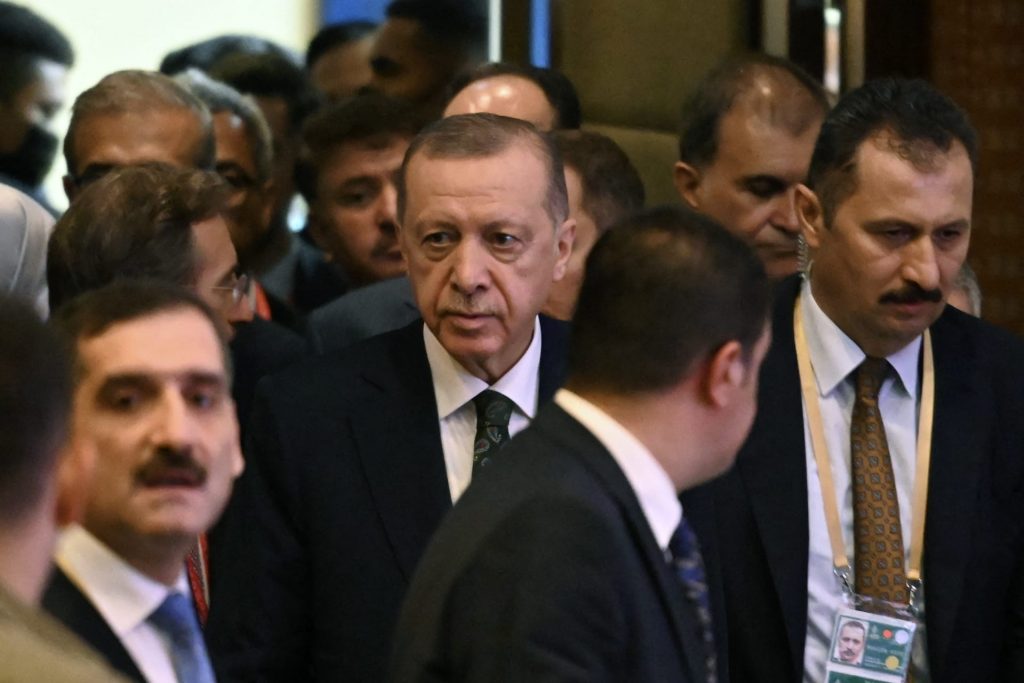 اتفاق السيسي وأردوغان على تدعيم أواصر العلاقات والتعاون الثنائي.. إضافة ثالثة وأخيرة 1 2266001685421903