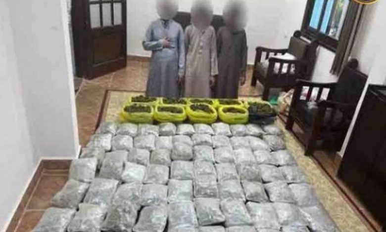 ضبط 20 كيلوجرامًا من مخدر الهيدرو بحوزة شخص بشمال سيناء 1 546304 16672921941684678623