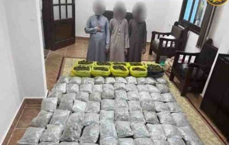 ضبط 20 كيلوجرامًا من مخدر الهيدرو بحوزة شخص بشمال سيناء 1 546304 16672921941684678623