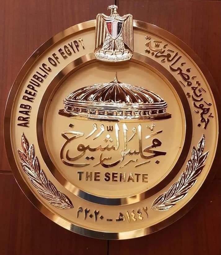 مجلس الشيوخ يناقش سياسة الحكومة عن تصدير فائض الكهرباء إلى أوروبا 1 73964 WhatsApp Image 2020 09 30 at 41684747263
