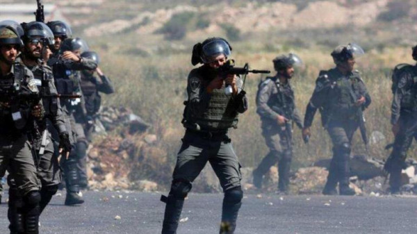 "الوطن" العمانية: على المجتمع الدولي اتخاذ مواقف حاسمة لوقف جرائم الاحتلال الإسرائيلي 1 99991605531684218664