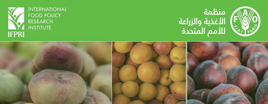 التخطيط القومي ينظم ورشة عمل حول "أسعار الغذاء" بالتعاون مع المعهد الدولي لبحوث السياسات الغذائية 1 DEF ar 011685514483
