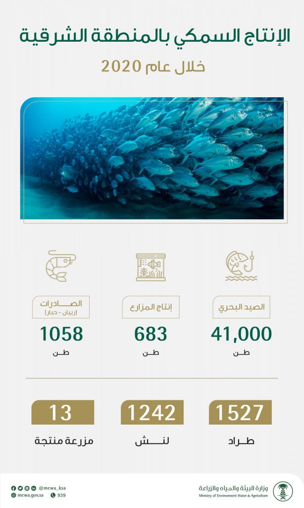 مليونا طن إجمالي الإنتاج السمكي خلال 2021 بانخفاض 0.43% مقارنة بعام 2020 1 EuwbbKDXIAM2gCo scaled1684933683