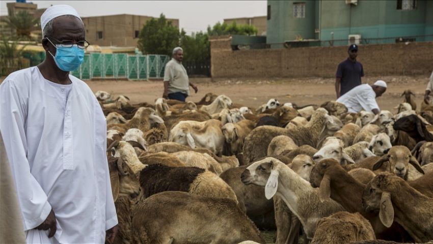 السودان يؤكد جاهزيته لتلبية احتياجات الدول من صادرات الماشية 1 e068472f7365996cd2121ccb029abeac1683978723