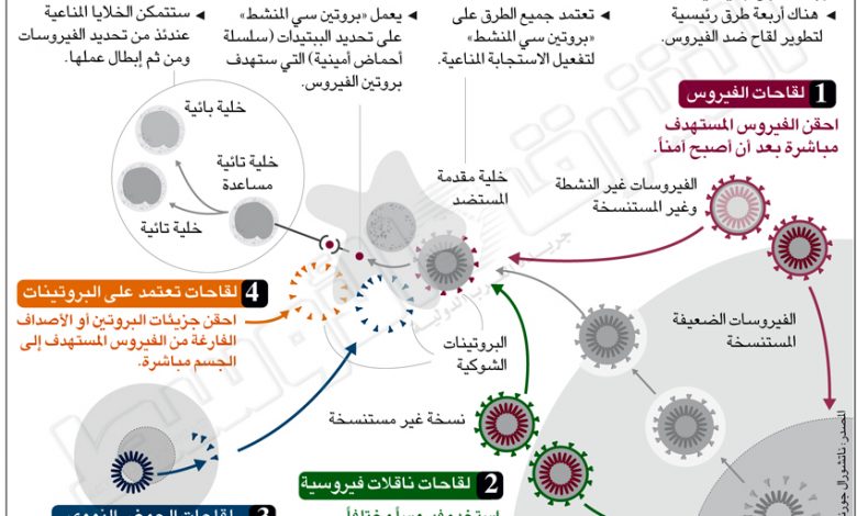 how vaccines work1685183523