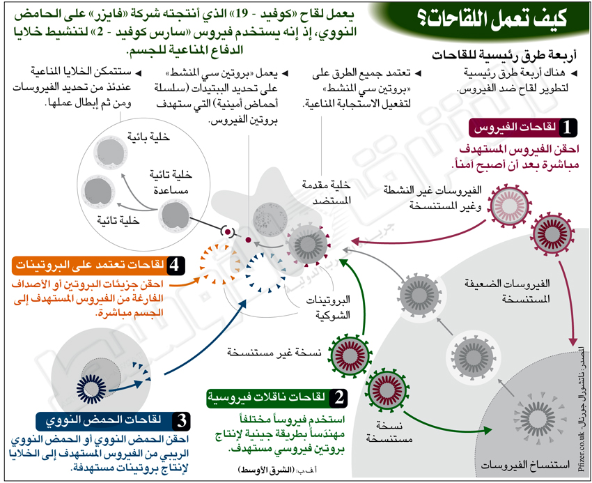 المفوضية الأوروبية تبرم اتفاقا مع "بيونتيك-فايزر" لتأمين المزيد من لقاحات كورونا 1 how vaccines work1685183523