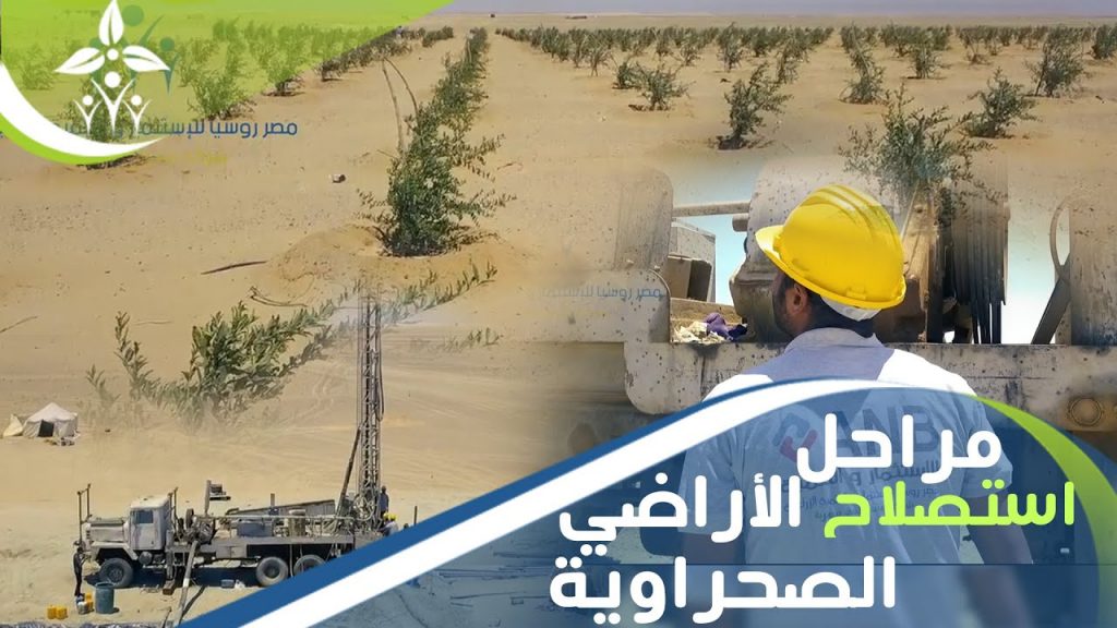 "الوطنية لاستصلاح الأراضي": تم استصلاح 460 ألف فدان .. إضافة 3 وأخيرة 1 maxresdefault1684057203