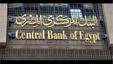البنك المركزي المصري 1600778087 01684659603