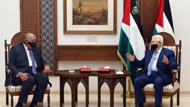 لقاء الرئيس الفلسطيني مع وزير الخارجية سامح شكري1685537463