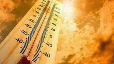 منظمة الأرصاد الجوية 2016 سيكون الأكثر حرارة على الإطلاق1685347686
