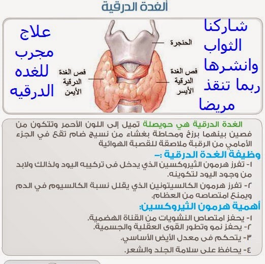 جامعة المنيا : الجديد فى علاج الغدة الدرقية فى مؤتمر بطب المنيا 1 مهعهغل1687115463