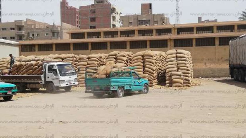 محافظ المنيا: توريد 401 ألف طن قمح من المزارعين بنسبة 110% من المستهدف 1 133074337315593040931685982004