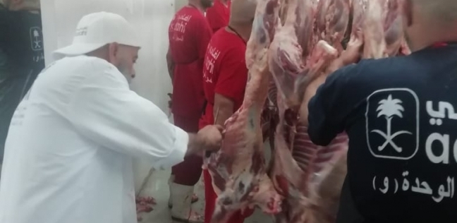 "الزراعة": بعثة الأطباء البيطريين المصريين تبدأ الكشف على الأضاحي بمجازر منى بالسعودية 1 13408443215655222131687960205