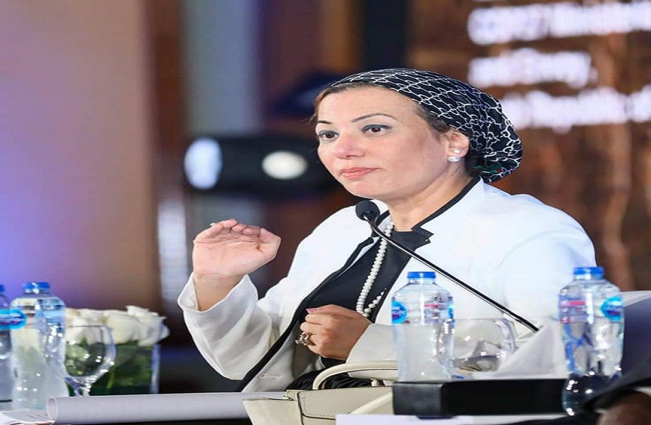 وزيرة البيئة تعلن بدء دراسة تحليل سلوك القروش بالبحر الأحمر 1 19 2022 637914388957281642 7281687352525