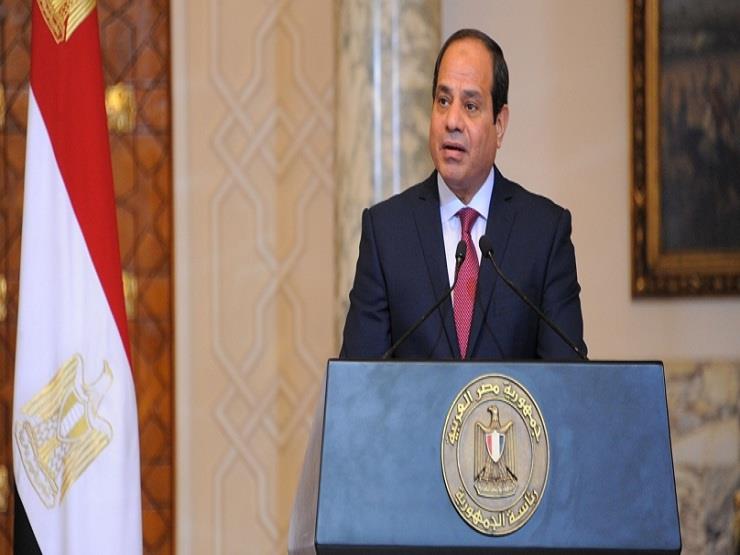 نائبة رئيس زامبيا: نقدر جهود الرئيس السيسي خلال فترة تولي مصر رئاسة الكوميسا 1 2017 11 14 23 22 40 5011686118563