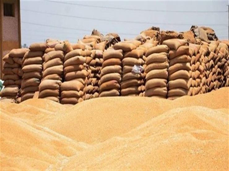 تموين الدقهلية: توريد 323 ألفا و16 طن قمح لمواقع التخزين حتى الآن 1 2017 6 8 14 11 49 9501685861463