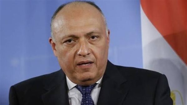 وزير الخارجية: النقلة النوعية للمرأة المصرية في مختلف المجالات ترجمة لرؤية القيادة السياسية 1 291687606865