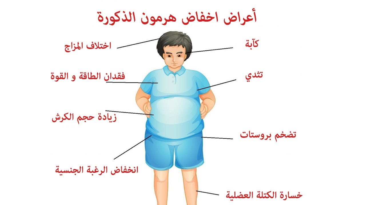 دراسة: العلاج ببدائل هرمون "التستوستيرون" آمن على الرجال الذين يعانون مشاكل فى القلب 1 2933 11687122004