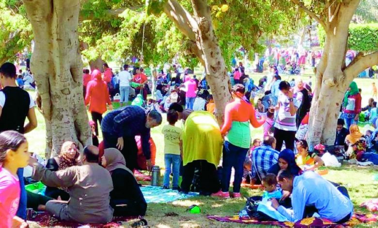 المواطنون في محافظات الجمهورية يحتفلون.. إضافة أولى 1 3011687942983