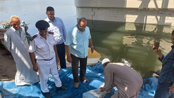 محافظ الدقهلية يشهد استلام نصف مليون ذريعة سمك بلطي دعما من جهاز حماية وتنمية البحيرات 1 7721686577203
