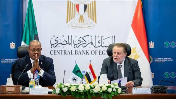اقتصاديون أفارقة لـ أ ش أ: قيادة مصر للكوميسا أسهمت في تعزيز التكامل والاندماج التجاري بإفريقيا 1 7741686117545