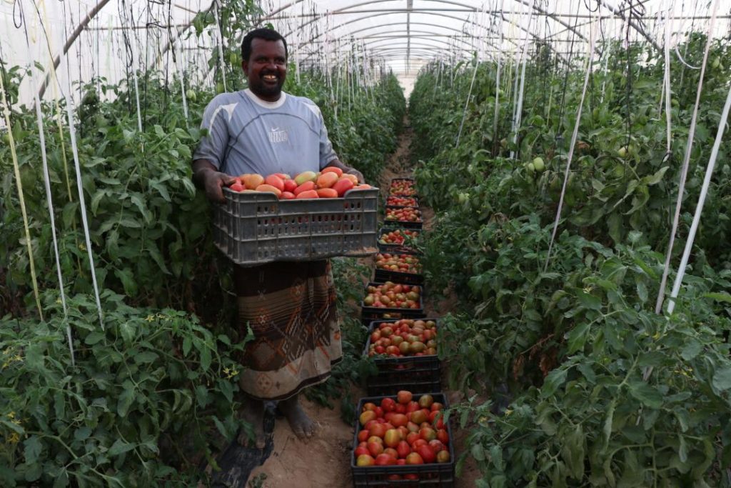 مشاركون بالحوار الوطني: نطالب بالاهتمام بالاستثمار بقطاع الزراعة والرقابة على أسواق مستلزمات الإنتاج 1 IMG 20200219 WA00141686671405