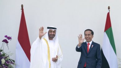 The UAE and Indonesia are discussing strengthening joint cooperation and tackling Corona1686844803