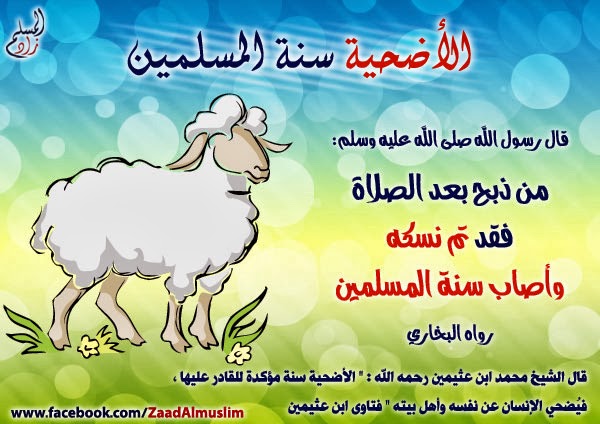 وزير الأوقاف: الأضحية سنة مؤكدة يفوت المسلم خير كبير بتركها إذا كان قادرا على القيام بها 1 hajj71687244523