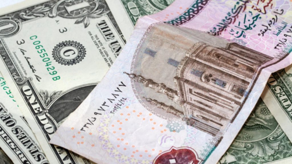 استقرار أسعار صرف الدولار مقابل الجنيه المصري في بداية التعاملات 1 image1685605564