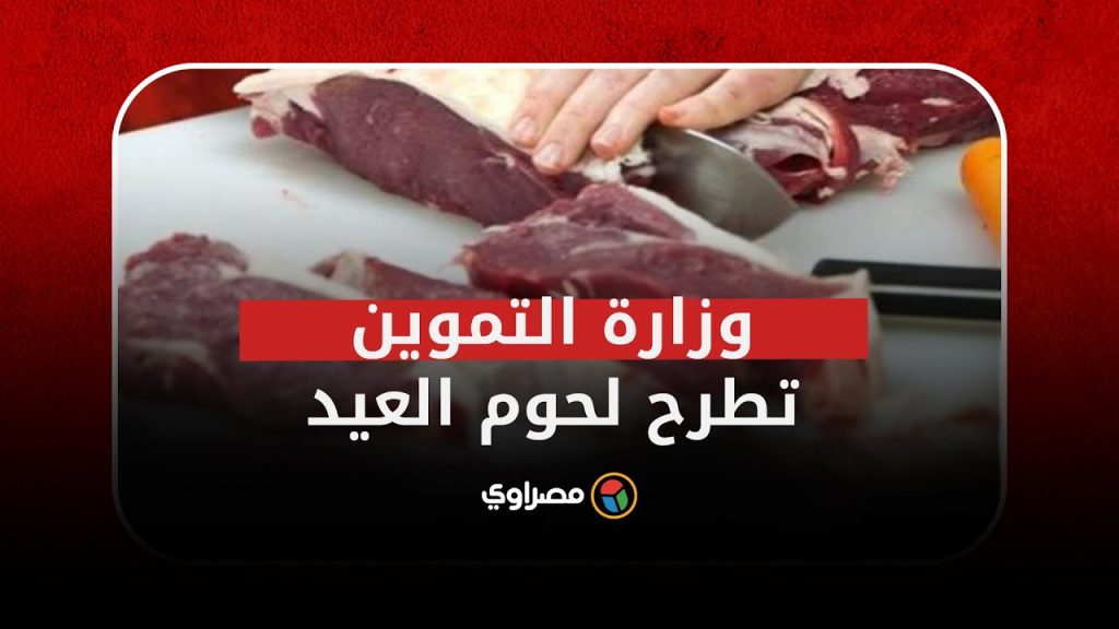محافظ البحرالأحمر : طرح خراف حية ولحوم ودواجن بأسعار مخفضة 1 maxresdefault1687691105