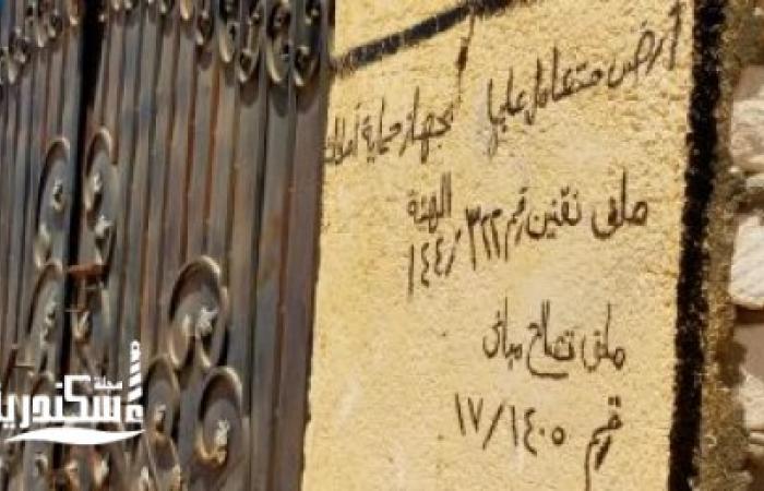 محافظ الإسكندرية: تنفيذ 13 قرارًا لإزالة التعديات على أراضي الدولة بالعامرية وبرج العرب 1 medium 2022 08 19 9d574095a31685719323