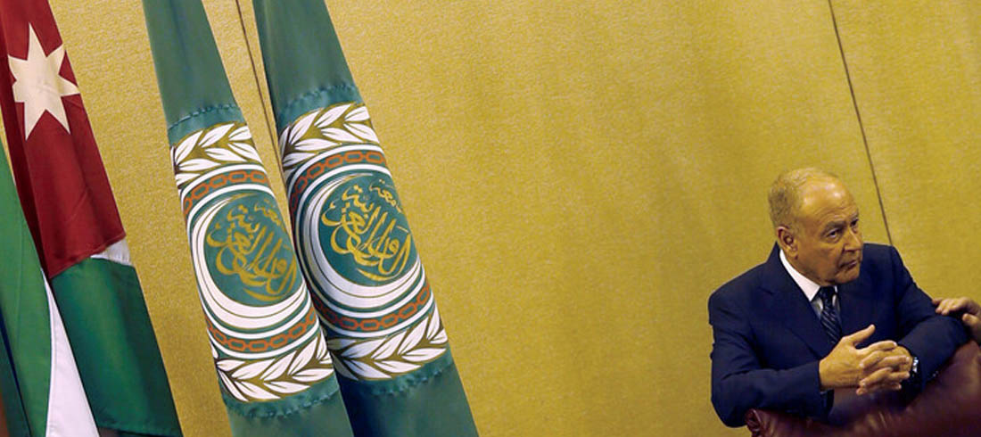 الأمين العام لجامعة الدول العربية أحمد أبو الغيط1687083307