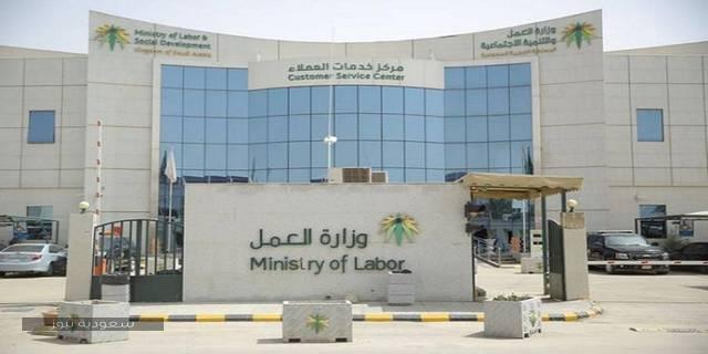 وزارة العمل: إطلاق المرحلة الثانية من التدريبات المهنية للشباب في مجال التسويق الإلكتروني 1 وزارة العمل تعلن عن إطلاق المرحلة الثانية من برنامج “العمل1687164485