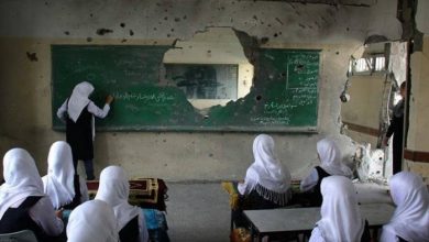 وزراء التعليم العرب يطالبون بحماية المؤسسات التعليمية الفلسطينية1685612884