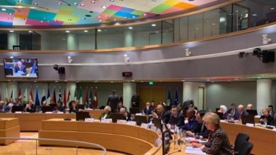 وزراء خارجية الدول العربية والاتحاد الأوروبي يعقدون اجتماع في بروكسل 4 شباط 2019 768x3661686741963