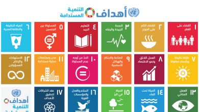 09 09 A SDG Poster 21689493683